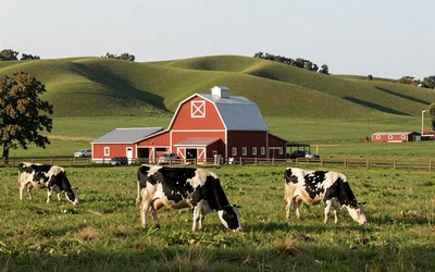 Wisconsin Dairyland farm for Wisconsin farmers dating local hub