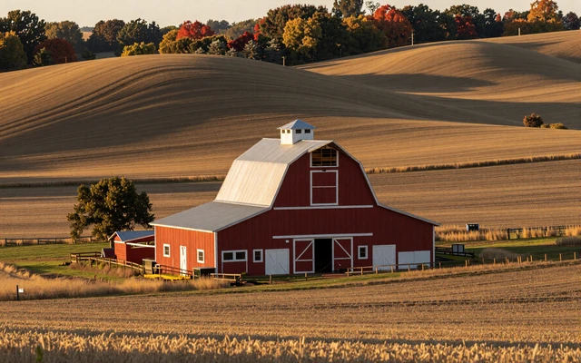 Farm landscape at golden hour for MuchDating homepage