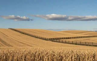 American farmland landscape, gateway to all niche farmers dating communities on MuchDating