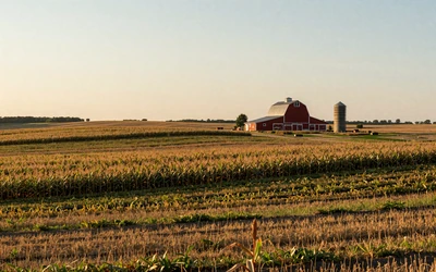 Iowa cornfield for Iowa farmers dating local hub