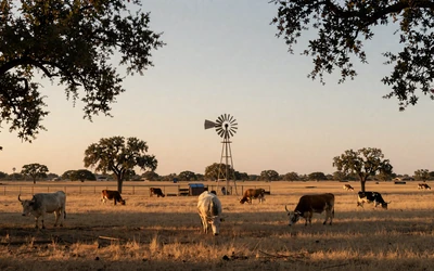 Texas ranch land for Texas farmers dating local hub