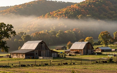 West Virginia mountain holler farm for West Virginia farmers dating local hub