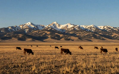Montana ranch country for Montana farmers dating local hub