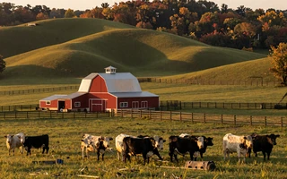 Tennessee farmers dating community rolling hills cattle farm