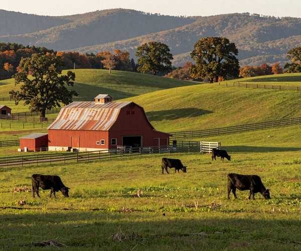 Middle Tennessee cattle farm with red barn, Angus herd, and rolling green Volunteer State hills showing country dating community