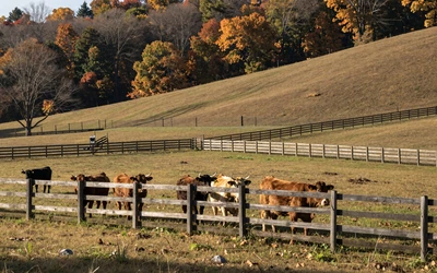 Missouri Show-Me State farm landscape for Missouri farmers dating local hub
